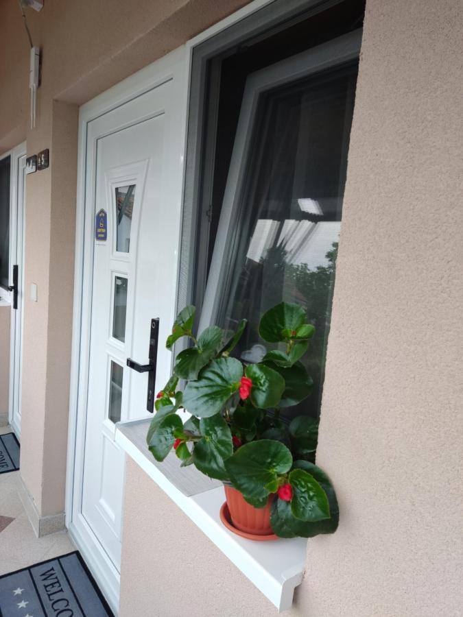 Apartmani Sladjana Újvidék Kültér fotó